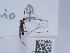  ( - NHMUK014446904)  @11 [ ] Unspecified (default): All Rights Reserved  Unspecified Unspecified