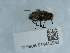  ( - NHMUK014446980)  @11 [ ] Unspecified (default): All Rights Reserved  Unspecified Unspecified