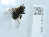  ( - NHMUK014446980)  @11 [ ] Unspecified (default): All Rights Reserved  Unspecified Unspecified