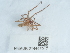  ( - NHMUK014447017)  @11 [ ] Unspecified (default): All Rights Reserved  Unspecified Unspecified
