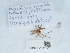  ( - NHMUK014447017)  @11 [ ] Unspecified (default): All Rights Reserved  Unspecified Unspecified
