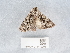  ( - NHMUK014448991)  @11 [ ] Unspecified (default): All Rights Reserved  Unspecified Unspecified