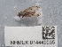  ( - NHMUK014449035)  @11 [ ] Unspecified (default): All Rights Reserved  Unspecified Unspecified