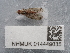  ( - NHMUK014449035)  @11 [ ] Unspecified (default): All Rights Reserved  Unspecified Unspecified