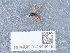  ( - NHMUK014449449)  @11 [ ] Unspecified (default): All Rights Reserved  Unspecified Unspecified