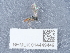 ( - NHMUK014449449)  @11 [ ] Unspecified (default): All Rights Reserved  Unspecified Unspecified