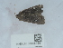 ( - NHMUK014451541)  @11 [ ] Unspecified (default): All Rights Reserved  Unspecified Unspecified