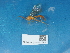  ( - NHMUK014451591)  @11 [ ] Unspecified (default): All Rights Reserved  Unspecified Unspecified