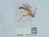  ( - NHMUK014451592)  @11 [ ] Unspecified (default): All Rights Reserved  Unspecified Unspecified