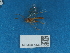  ( - NHMUK014451600)  @11 [ ] Unspecified (default): All Rights Reserved  Unspecified Unspecified