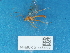  ( - NHMUK014451600)  @11 [ ] Unspecified (default): All Rights Reserved  Unspecified Unspecified