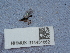  ( - NHMUK014451662)  @11 [ ] Unspecified (default): All Rights Reserved  Unspecified Unspecified
