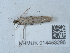  ( - NHMUK014453296)  @11 [ ] Unspecified (default): All Rights Reserved  Unspecified Unspecified