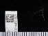  ( - NHMUK014453595)  @11 [ ] Unspecified (default): All Rights Reserved  Unspecified Unspecified