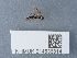  ( - NHMUK014536814)  @11 [ ] Unspecified (default): All Rights Reserved  Unspecified Unspecified