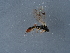 ( - NHMUK014536814)  @11 [ ] Unspecified (default): All Rights Reserved  Unspecified Unspecified