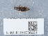  ( - NHMUK014536824)  @11 [ ] Unspecified (default): All Rights Reserved  Unspecified Unspecified