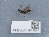  ( - NHMUK014536985)  @11 [ ] Unspecified (default): All Rights Reserved  Unspecified Unspecified