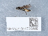  ( - NHMUK014536999)  @11 [ ] Unspecified (default): All Rights Reserved  Unspecified Unspecified