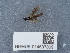  ( - NHMUK014537009)  @11 [ ] Unspecified (default): All Rights Reserved  Unspecified Unspecified