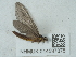  ( - NHMUK014537075)  @11 [ ] Unspecified (default): All Rights Reserved  Unspecified Unspecified