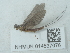 ( - NHMUK014537076)  @11 [ ] Unspecified (default): All Rights Reserved  Unspecified Unspecified