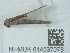  ( - NHMUK014537078)  @11 [ ] Unspecified (default): All Rights Reserved  Unspecified Unspecified