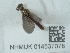  ( - NHMUK014537078)  @11 [ ] Unspecified (default): All Rights Reserved  Unspecified Unspecified