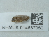  ( - NHMUK014537080)  @11 [ ] Unspecified (default): All Rights Reserved  Unspecified Unspecified