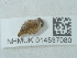 ( - NHMUK014537080)  @11 [ ] Unspecified (default): All Rights Reserved  Unspecified Unspecified