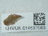  ( - NHMUK014537080)  @11 [ ] Unspecified (default): All Rights Reserved  Unspecified Unspecified
