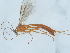  ( - NHMUK014543734)  @11 [ ] Unspecified (default): All Rights Reserved  Unspecified Unspecified