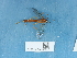  ( - NHMUK014543737)  @11 [ ] Unspecified (default): All Rights Reserved  Unspecified Unspecified