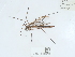  ( - NHMUK014543745)  @11 [ ] Unspecified (default): All Rights Reserved  Unspecified Unspecified