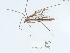  ( - NHMUK014543745)  @11 [ ] Unspecified (default): All Rights Reserved  Unspecified Unspecified