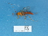  ( - NHMUK014543780)  @11 [ ] Unspecified (default): All Rights Reserved  Unspecified Unspecified