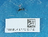  ( - NHMUK014543783)  @11 [ ] Unspecified (default): All Rights Reserved  Unspecified Unspecified