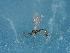  ( - NHMUK014543783)  @11 [ ] Unspecified (default): All Rights Reserved  Unspecified Unspecified
