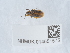  ( - NHMUK014551575)  @11 [ ] Unspecified (default): All Rights Reserved  Unspecified Unspecified