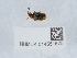  ( - NHMUK014551575)  @11 [ ] Unspecified (default): All Rights Reserved  Unspecified Unspecified