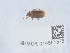  ( - NHMUK014551575)  @11 [ ] Unspecified (default): All Rights Reserved  Unspecified Unspecified