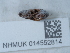  ( - NHMUK014552814)  @11 [ ] Unspecified (default): All Rights Reserved  Unspecified Unspecified