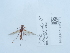  ( - NHMUK014562101)  @11 [ ] Unspecified (default): All Rights Reserved  Unspecified Unspecified
