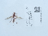  ( - NHMUK014562101)  @11 [ ] Unspecified (default): All Rights Reserved  Unspecified Unspecified