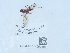  ( - NHMUK014562101)  @11 [ ] Unspecified (default): All Rights Reserved  Unspecified Unspecified