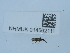  ( - NHMUK014562111)  @11 [ ] Unspecified (default): All Rights Reserved  Unspecified Unspecified