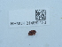  ( - NHMUK014562123)  @11 [ ] Unspecified (default): All Rights Reserved  Unspecified Unspecified