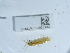  ( - NHMUK014562143)  @11 [ ] Unspecified (default): All Rights Reserved  Unspecified Unspecified