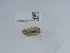  ( - NHMUK014562154)  @11 [ ] Unspecified (default): All Rights Reserved  Unspecified Unspecified