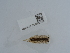  ( - NHMUK014562154)  @11 [ ] Unspecified (default): All Rights Reserved  Unspecified Unspecified